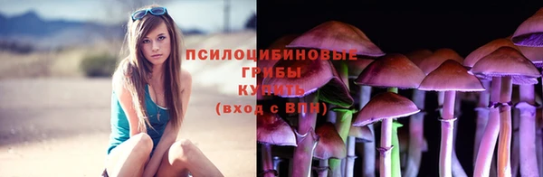 бошки Арсеньев