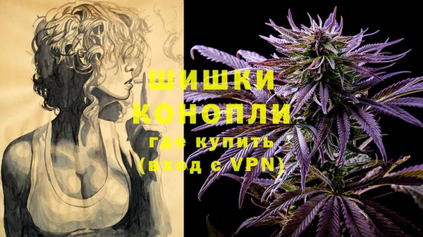 бошки Арсеньев