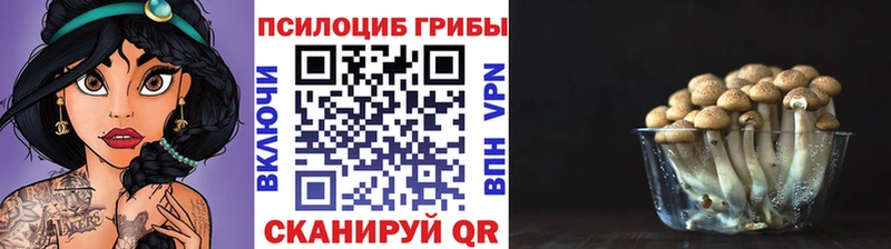 Псилоцибиновые грибы ЛСД закладка Кушва